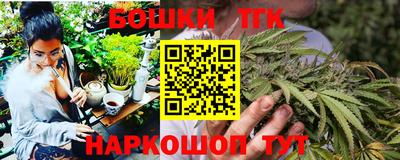 амф Кандалакша