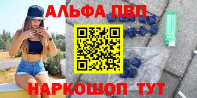 бошки Кингисепп