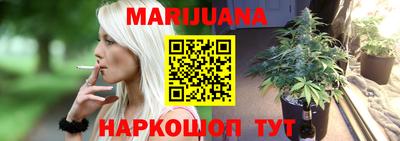 бошки Кингисепп
