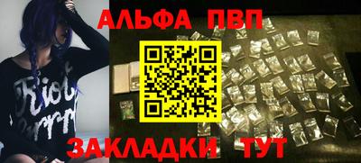 бошки Кингисепп