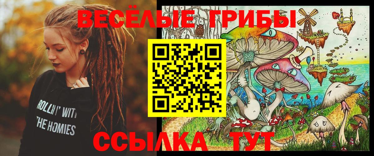 Галлюциногенные грибы MAGIC MUSHROOMS Находка