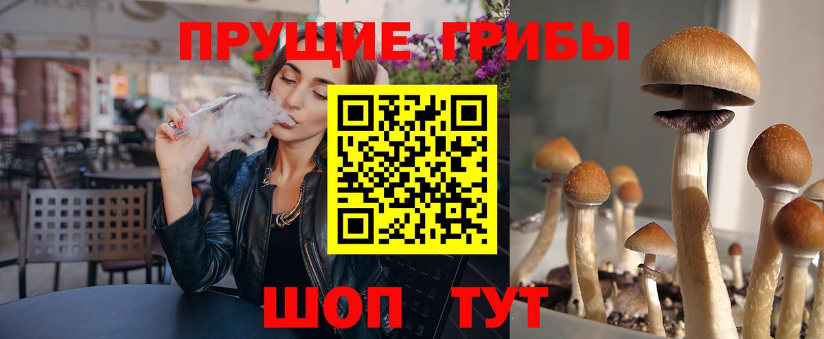 Галлюциногенные грибы Psilocybe  Вход с VPN  Находка 